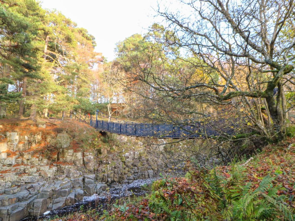 Shepherd'S Cottage Newbiggin  外观 照片