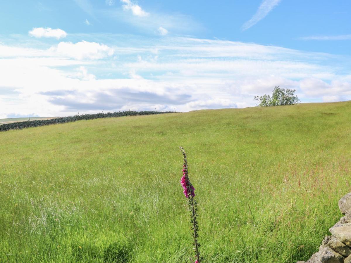 Shepherd'S Cottage Newbiggin  外观 照片
